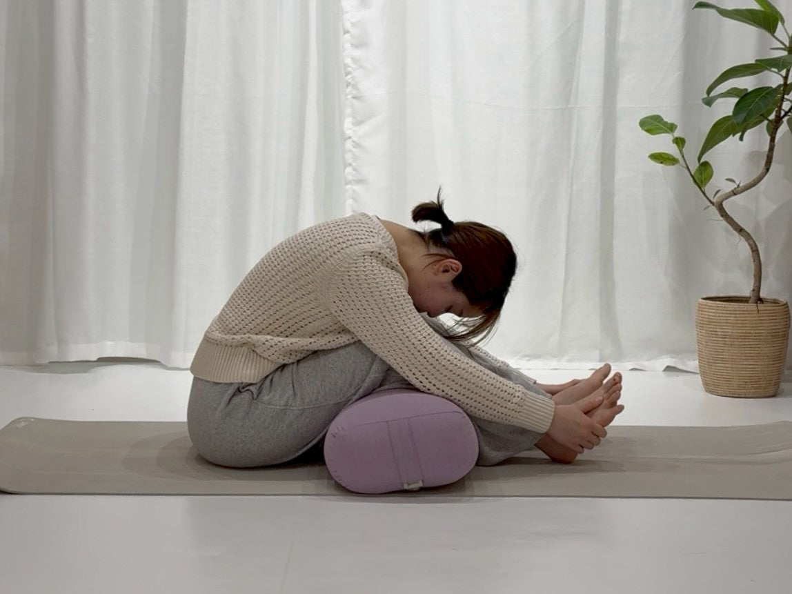 パスチモッタナーサナの写真